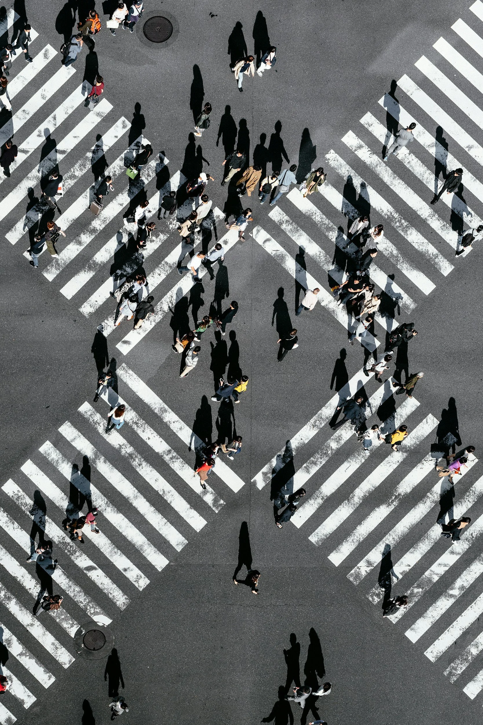 Bird's eye view of pedestrians crossing on marked crosswalks on city street, shadows cast by the sunlight.