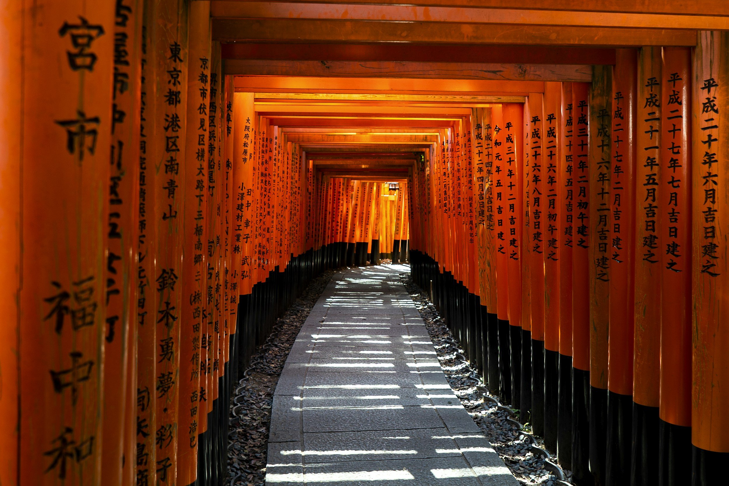 A pathway through thousands of bright orange torii gates at Fushimi Inari Shrine in Japan, with black kanji characters on the gates and shadows cast on the path.