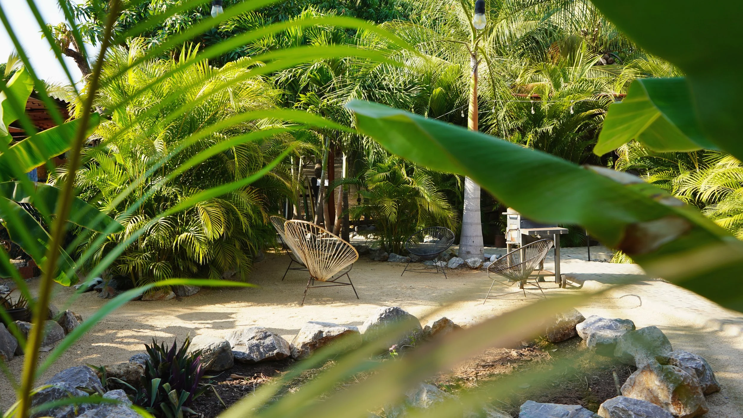 Tropical outdoor seating area with modern chairs, surrounded by lush green palm trees and plants, with sandy ground and rocks in foreground. La Casita Playa La Saladita - Perfect Surf Airbnb - Close to Waves - Best for Solo Travelers and Couples!