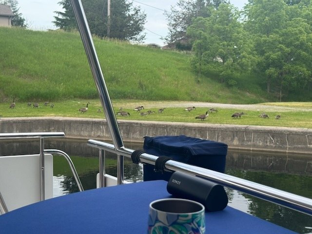Perry Reach, Lock 8