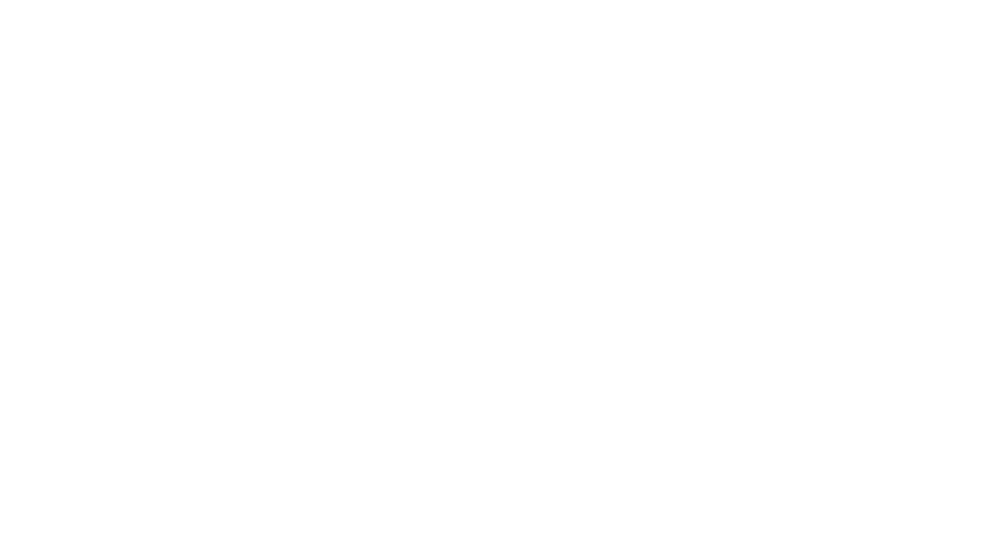 Elisse Hanssen Apparel Designer