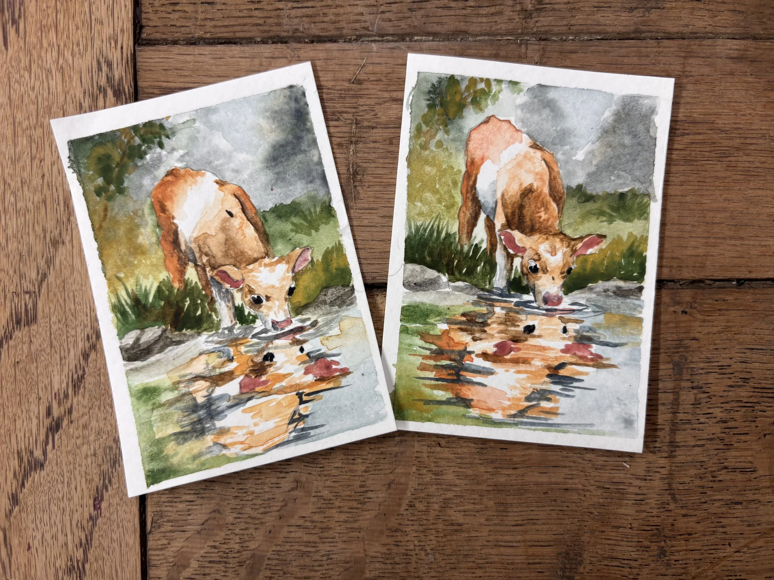 January’s Western Mini: Calf by Pond