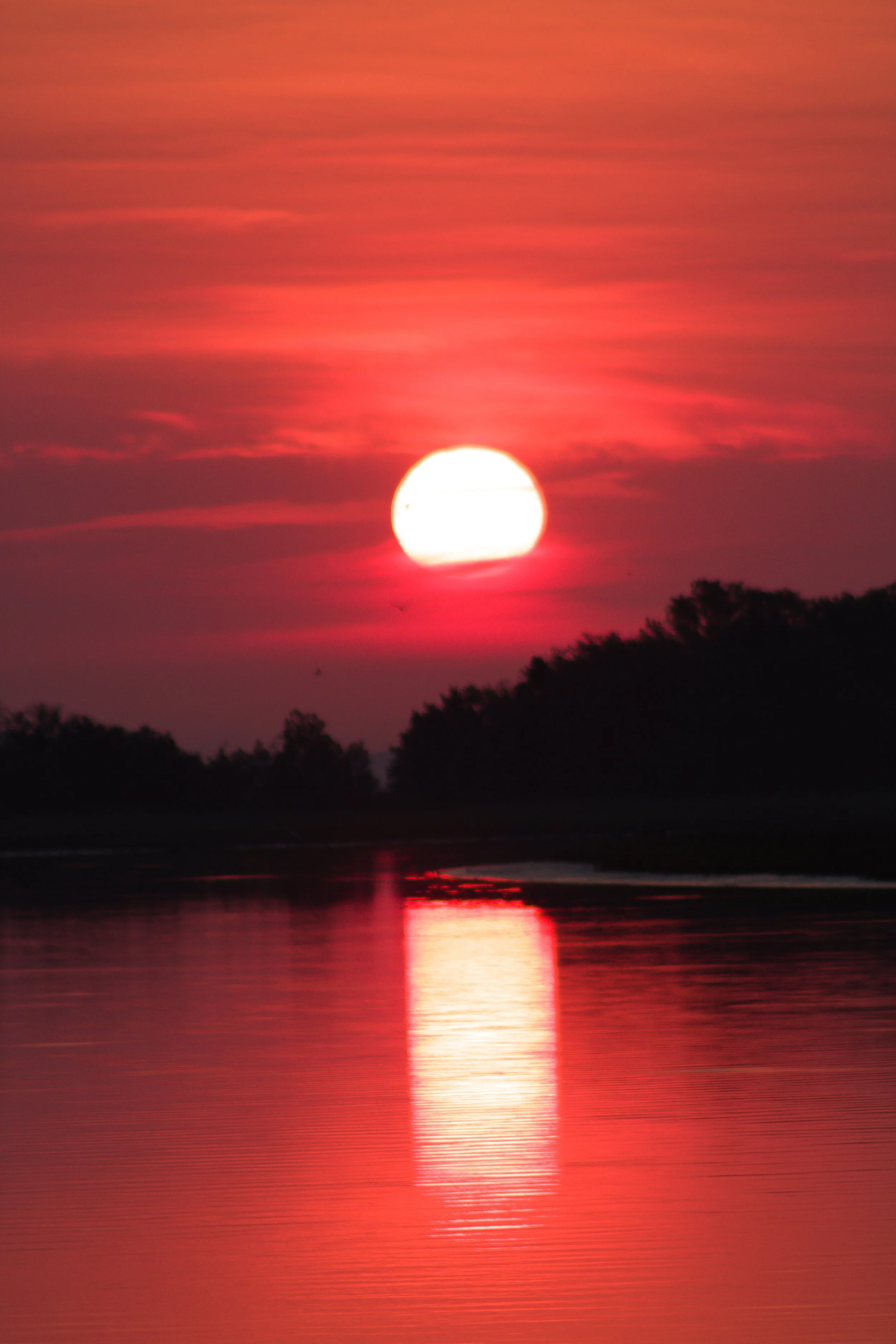 Buck_Hall_Sunrise.jpg