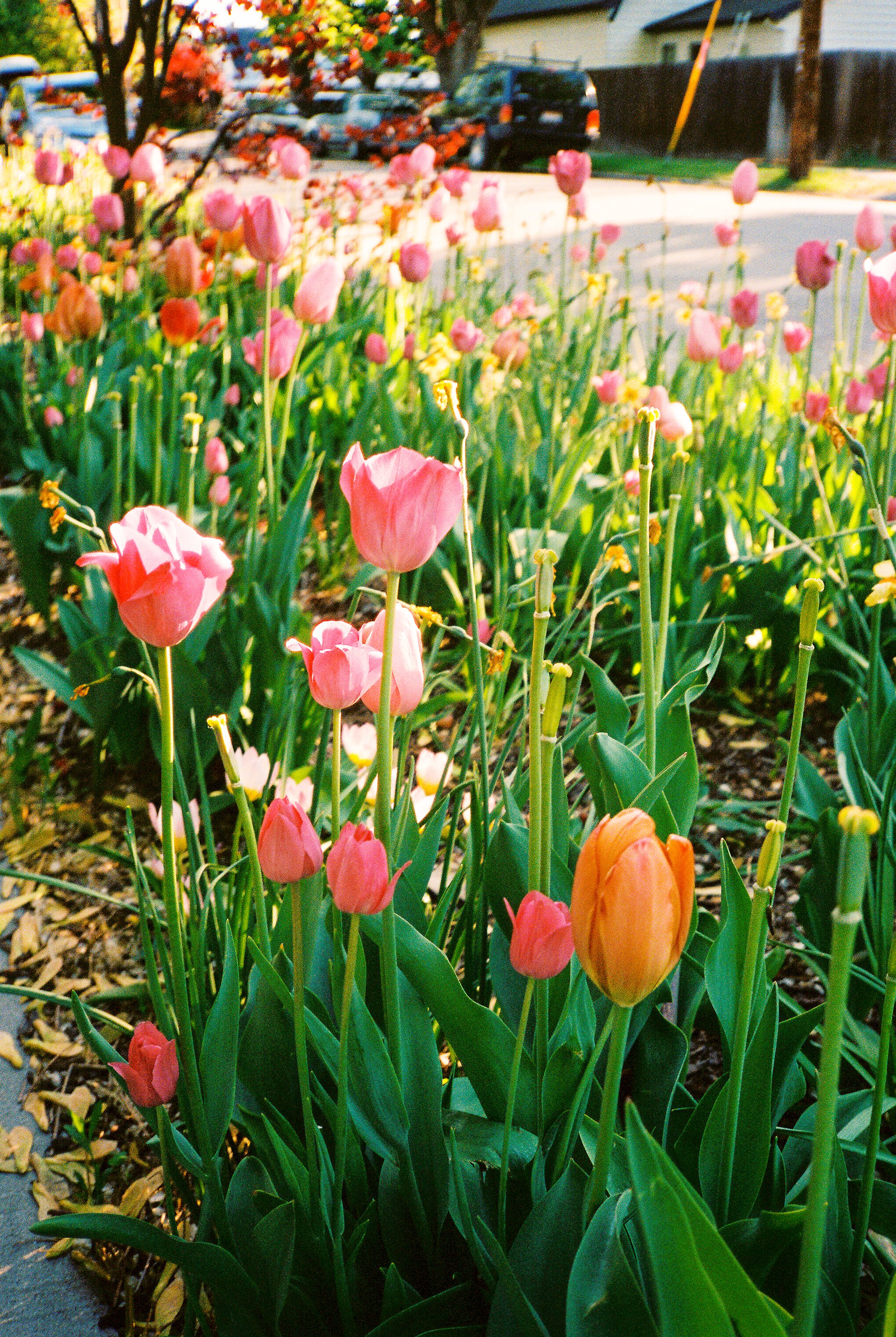 P87550KBbr051407-R2-002-2.jpg