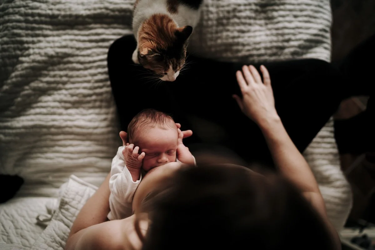 harrisonburg-Newborn-Photographer-202521.jpg