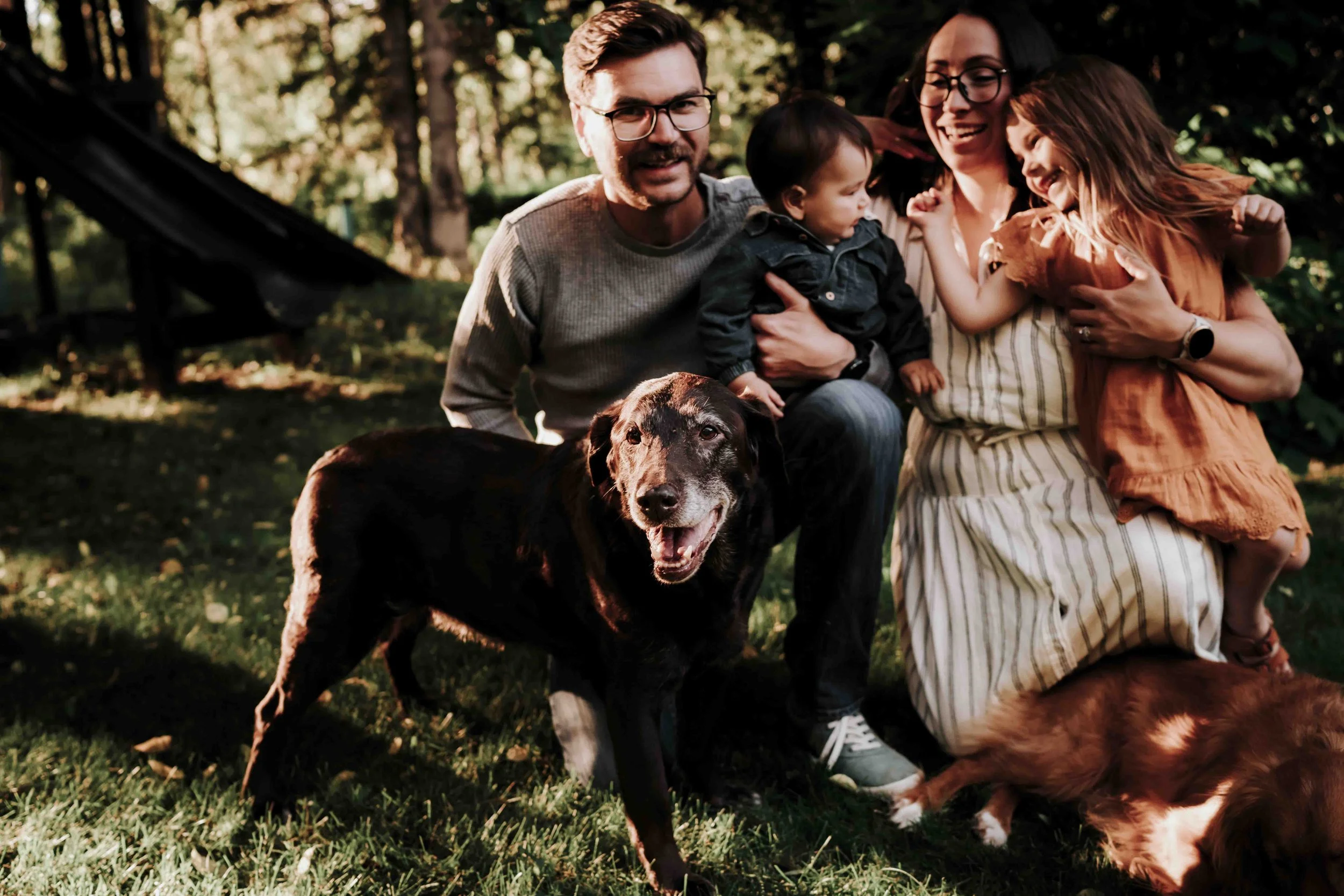 Family Photo Sessions with Pets: Best Dog-Friendly Spots in Denver