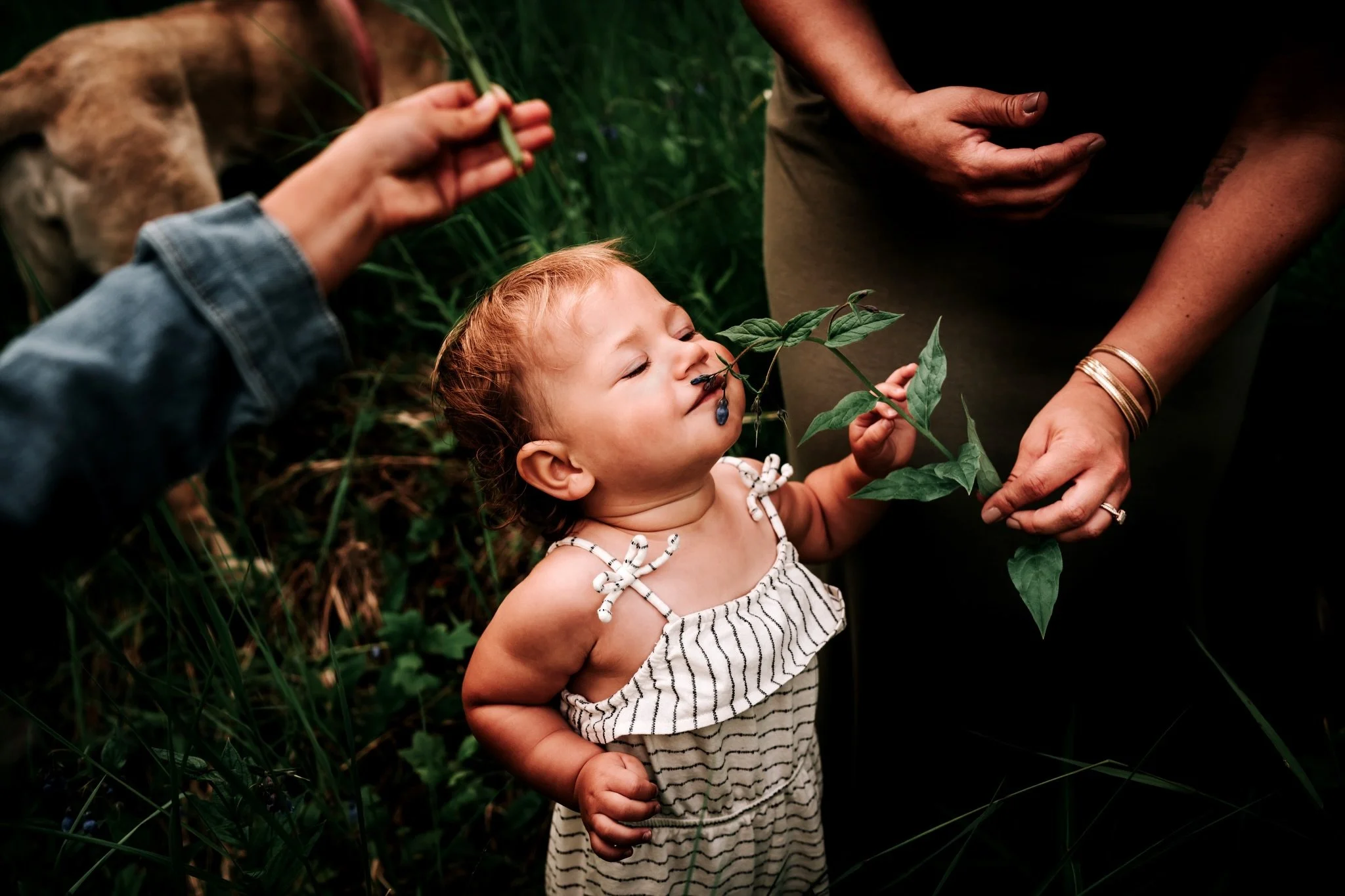 Psssssst! I&rsquo;ve still got a full family session open for when I visit in July! What&rsquo;s fun about booking a full session is you can also opt to do a HYBRID session. What&rsquo;s that? You get to enjoy indoors AND outdoors. Most folks book a 