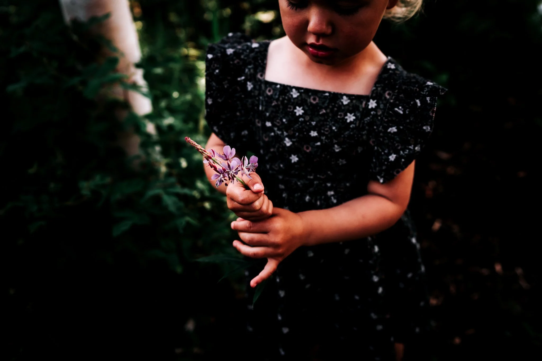 The tiny details of an Alaskan summer.