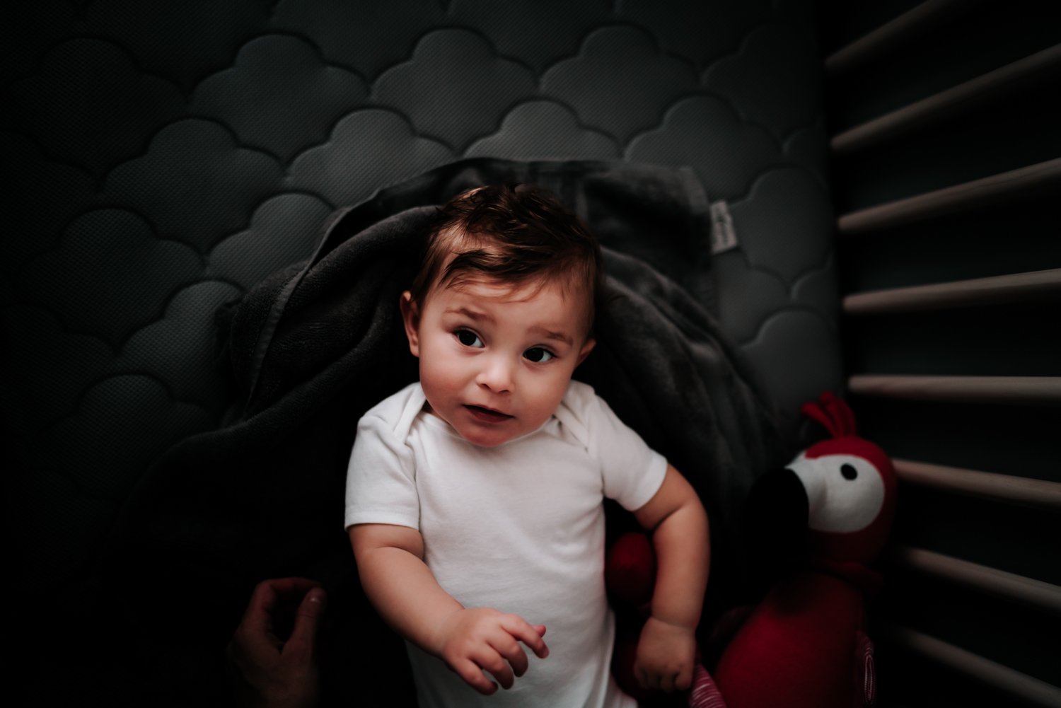 harrisonburg-family-photographer_27.jpg