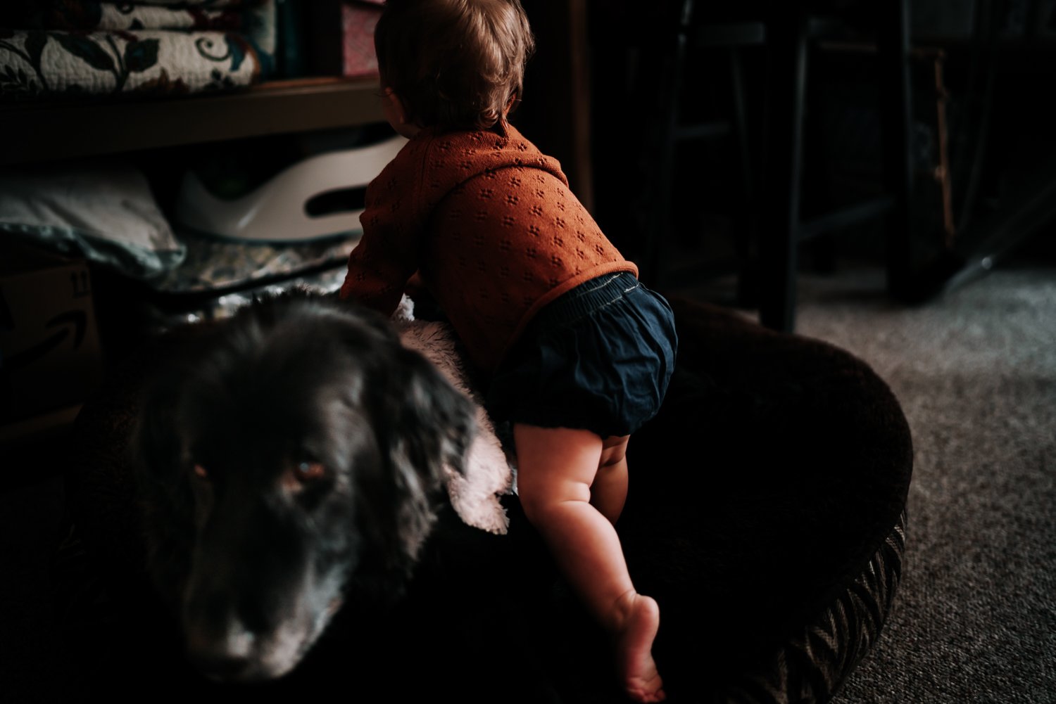 harrisonburg-family-photographer_5.jpg