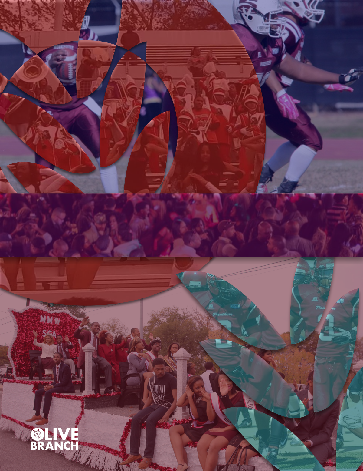 Olive Branch Splash - Letter.png