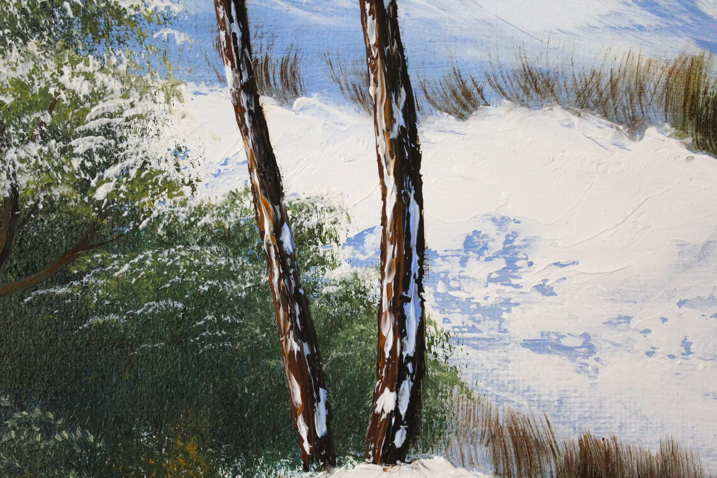 snow-covered-tree-trunks.JPG
