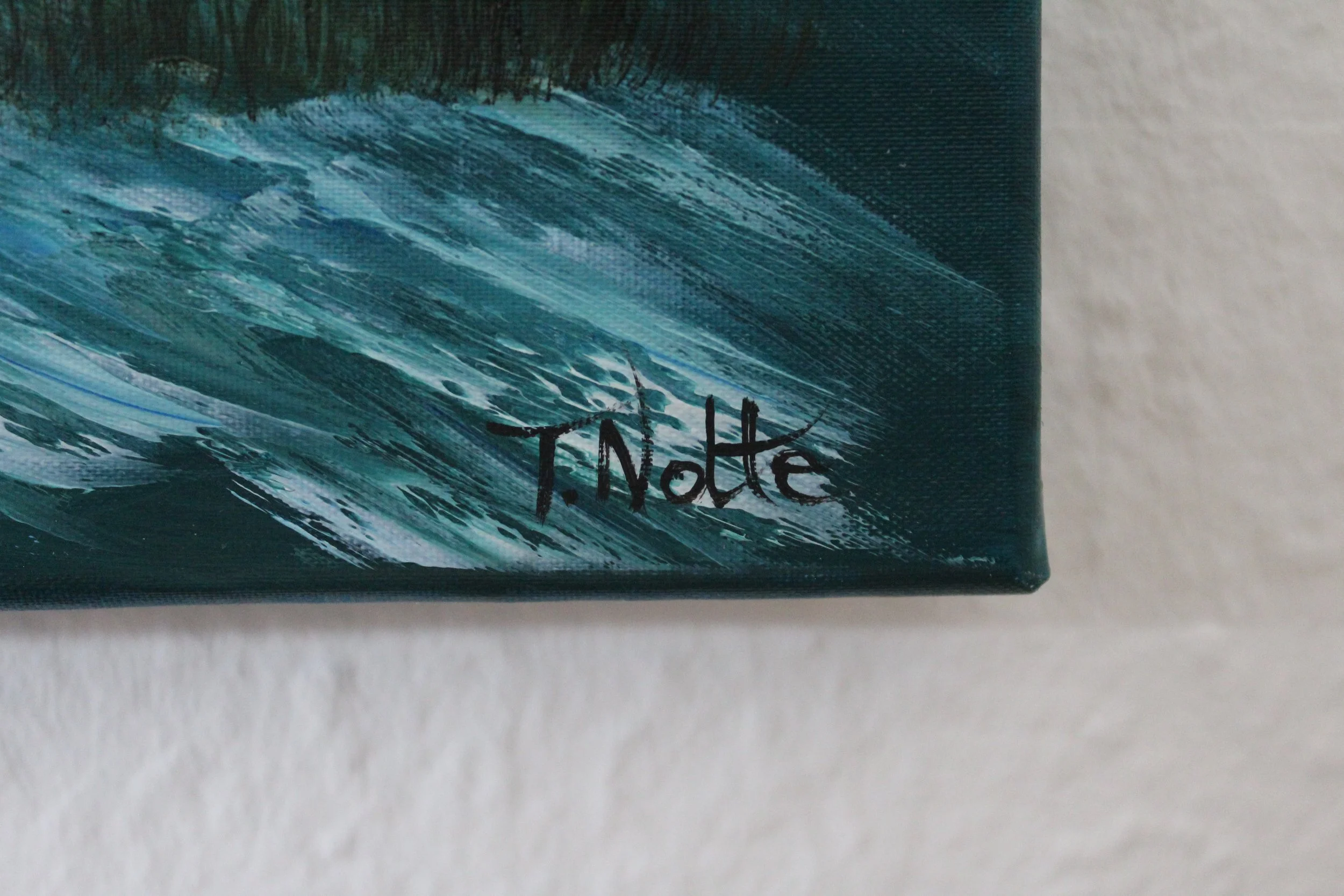 signatur-tobias-nolte-closeup-bild.JPG