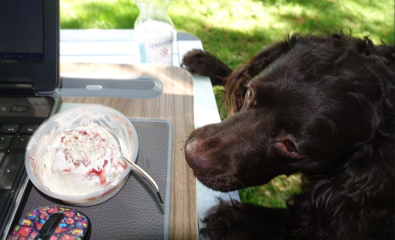 Mmmm Smells soo good - - - 