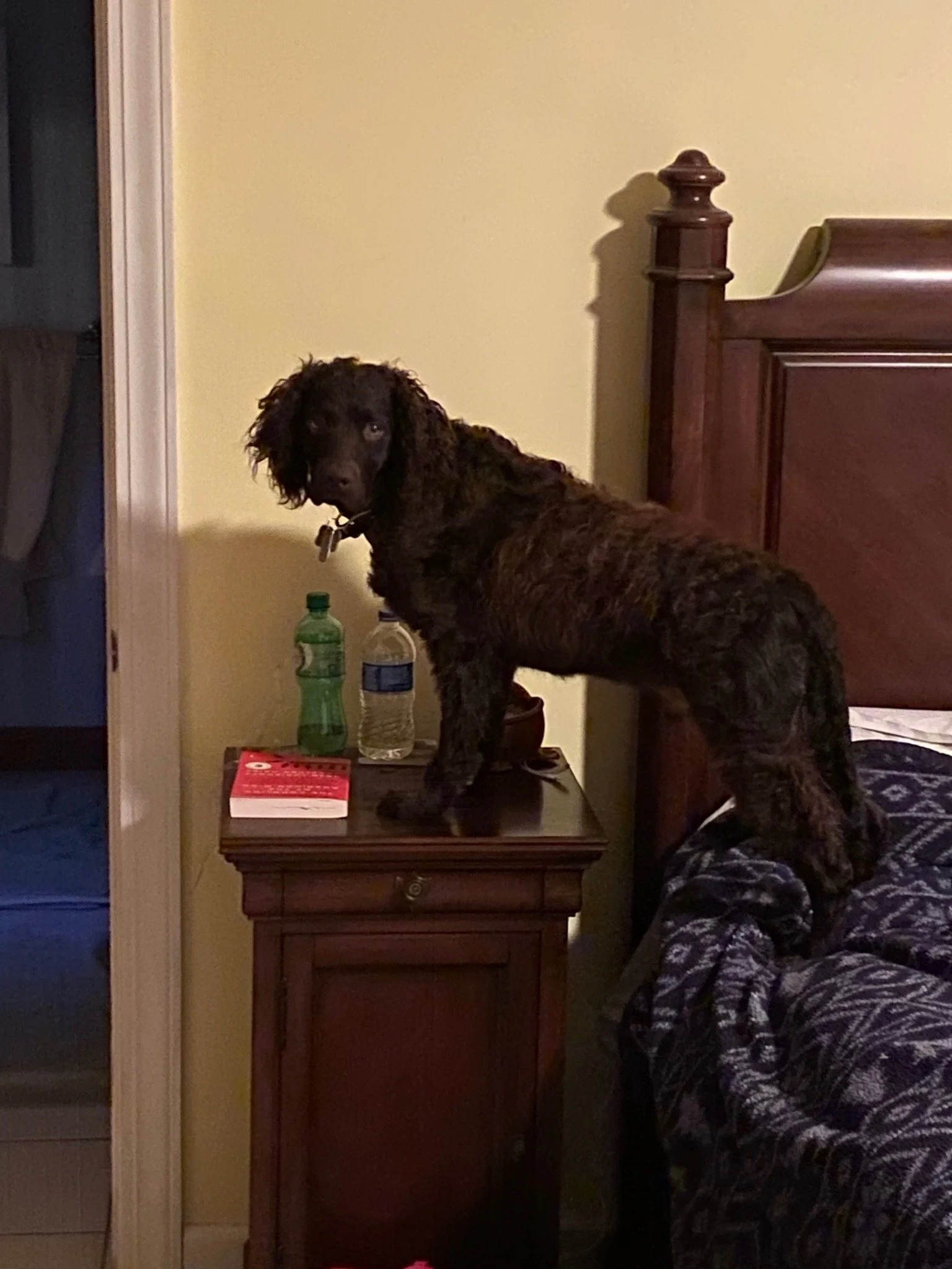 Yes? 