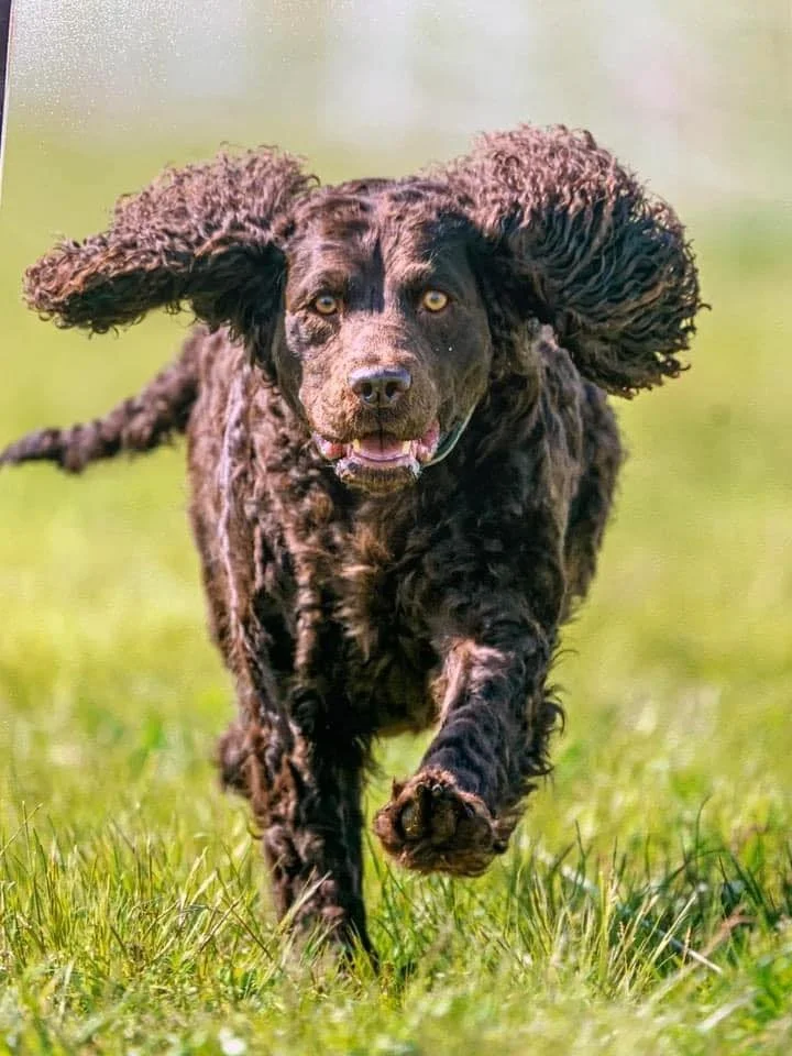 Incoming!