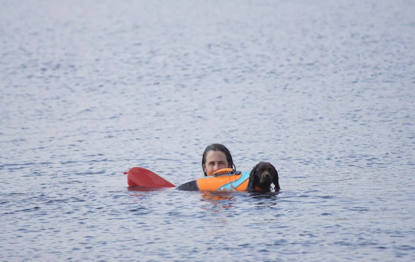 Swimming buddy