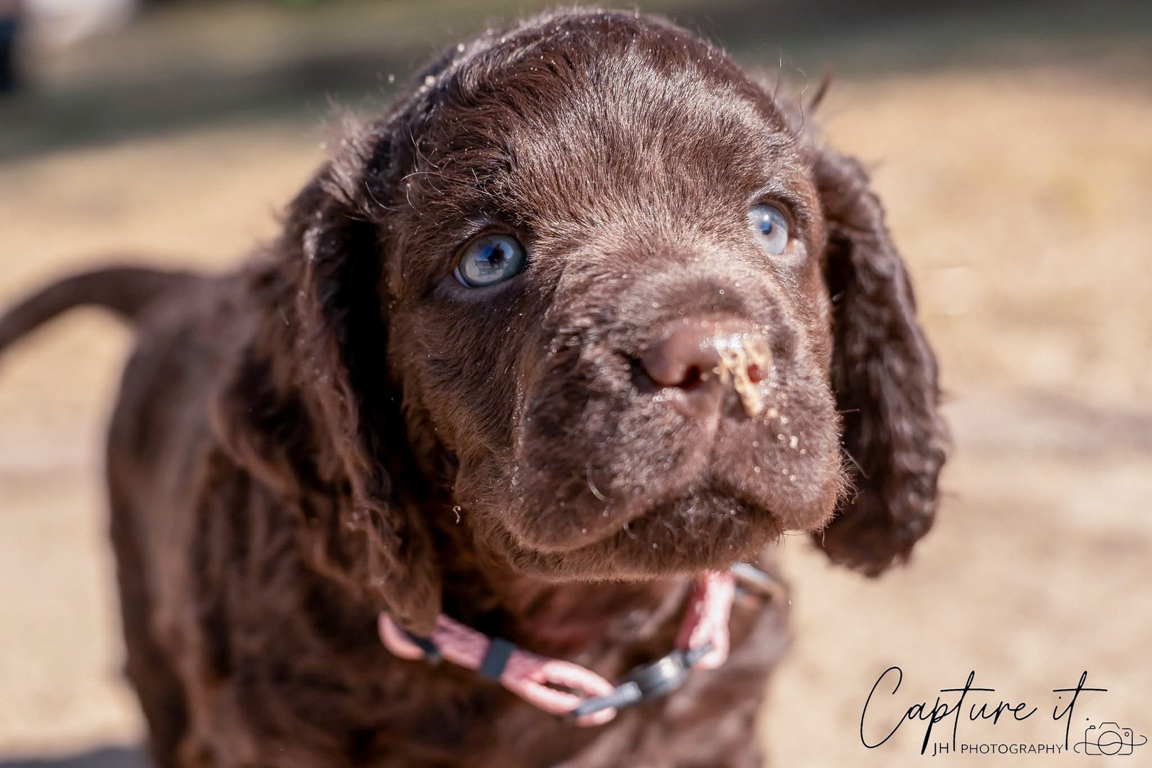Are you going to be my new family? 