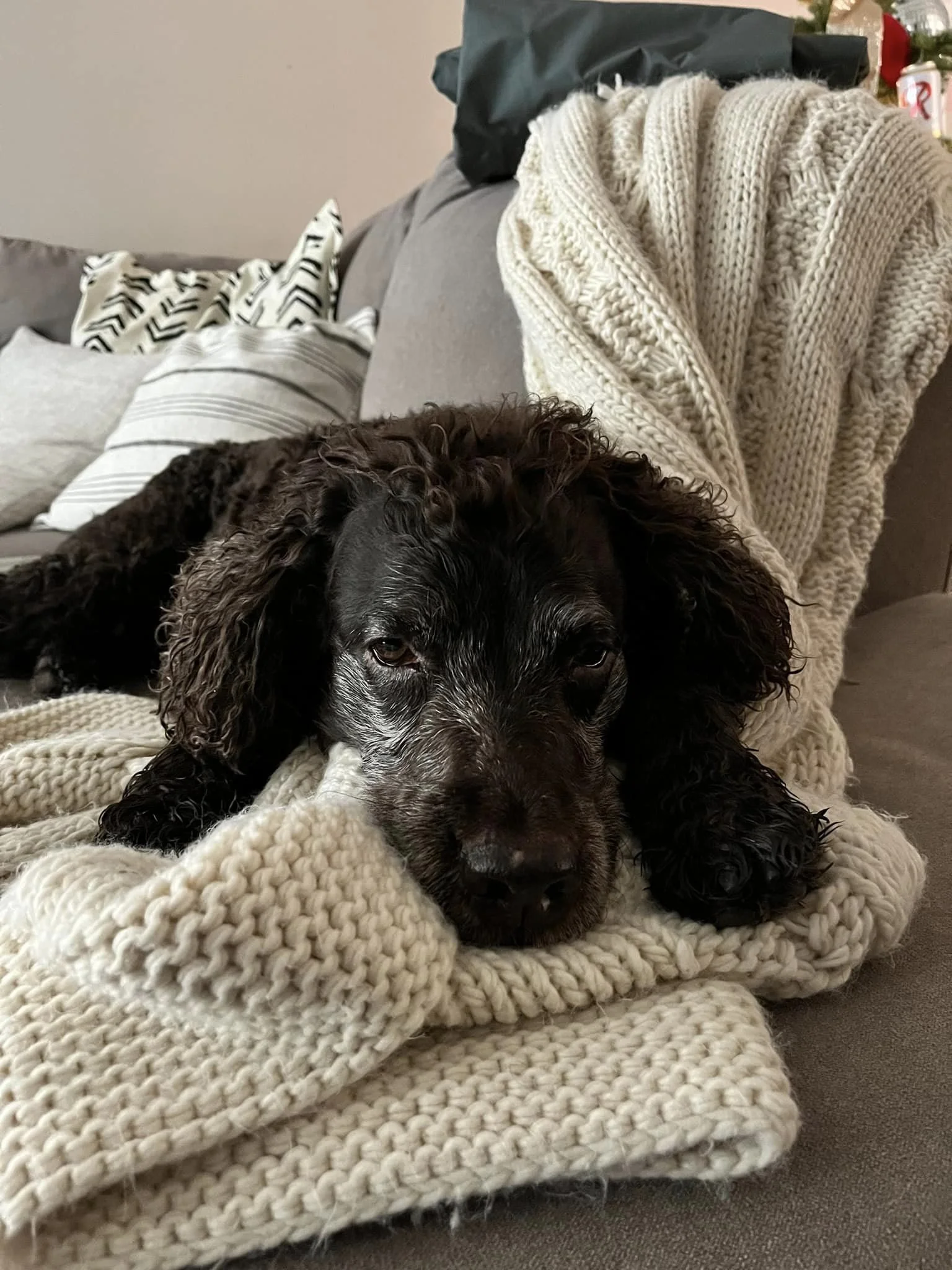 So comfy