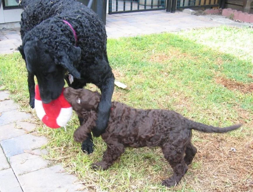 Hey little buddy, now you need to let go 