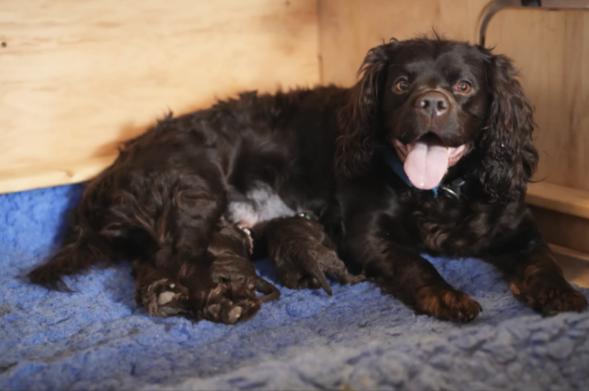 Screenshot 2026-03-06 at 4.43.52 PM.png