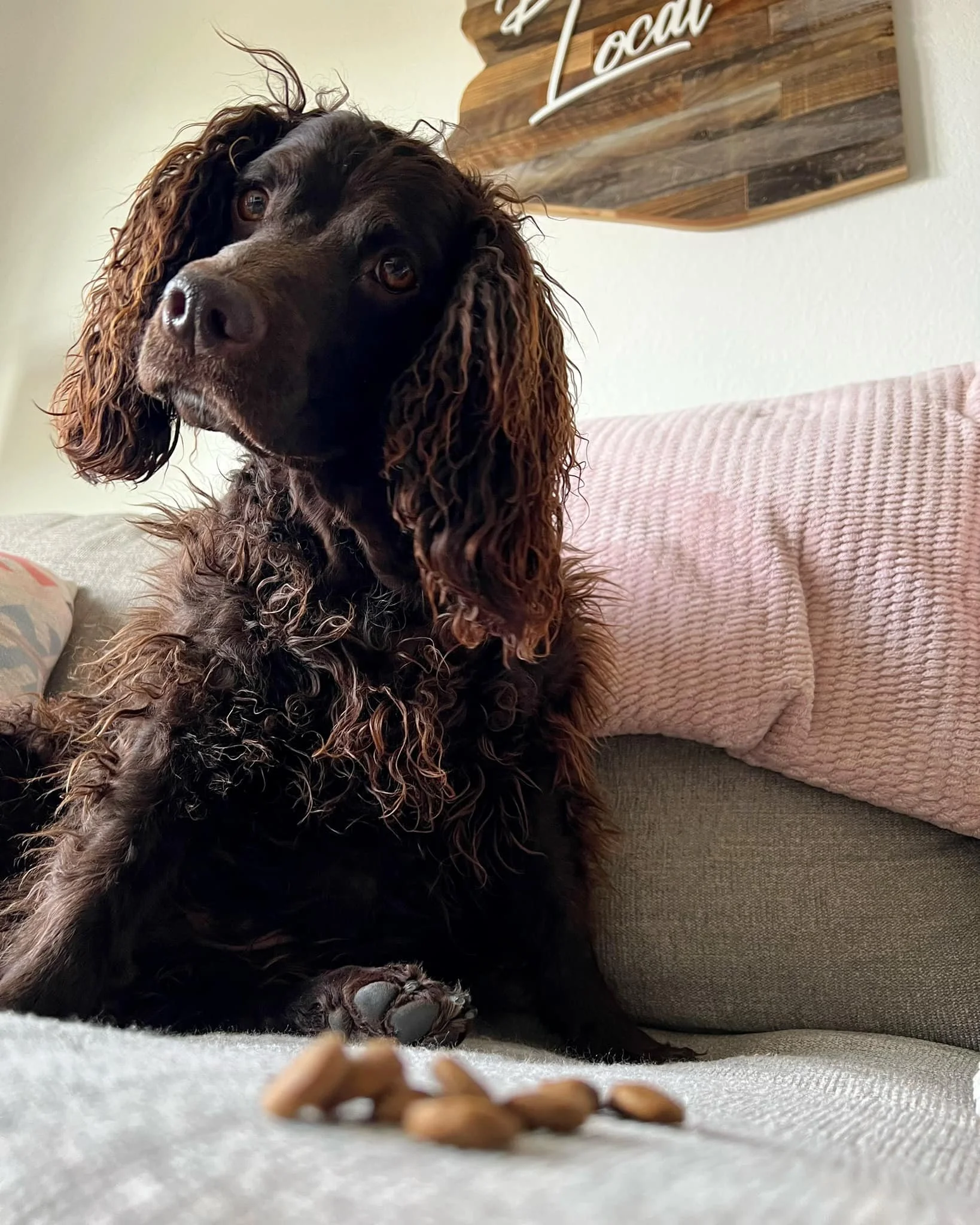 You left this for me???
