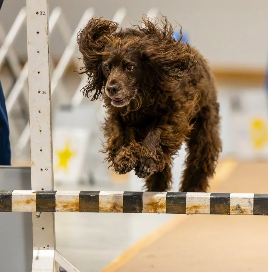 Flying - 