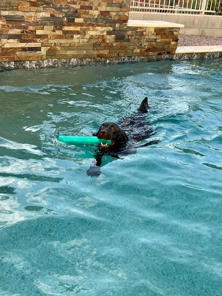Love this swimming!