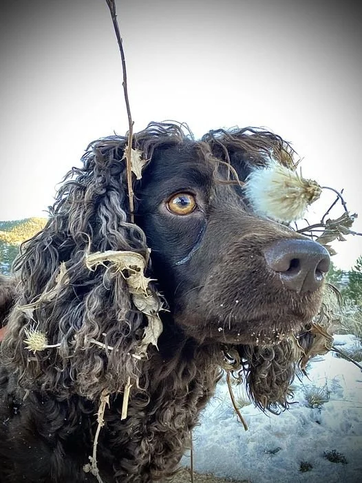 They call me Patch - - 