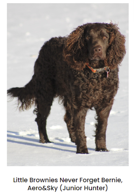 Screenshot 2026-03-08 at 10.31.59 AM.png