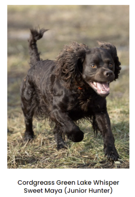 Screenshot 2026-03-08 at 10.32.20 AM.png