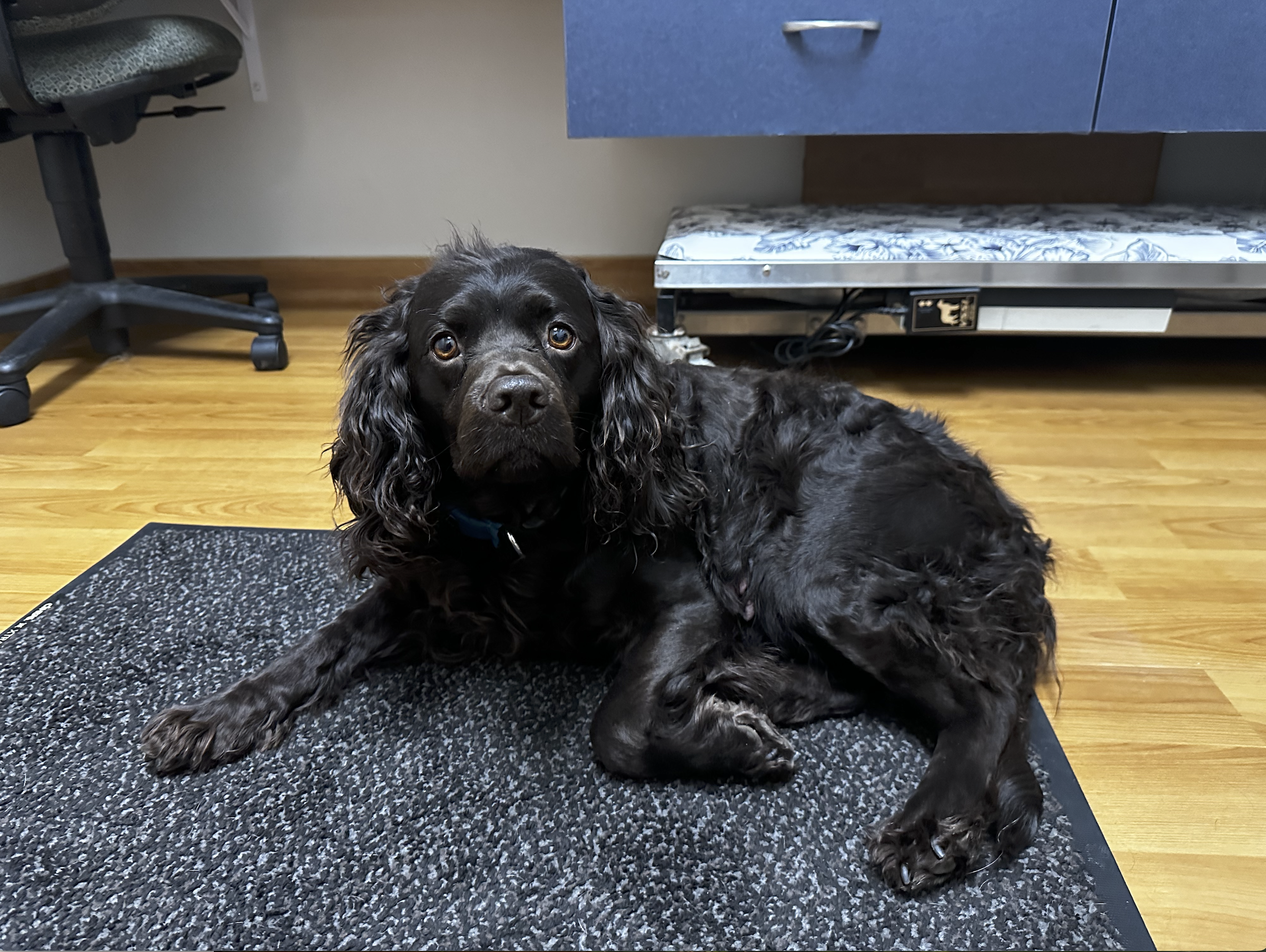 Screenshot 2026-03-08 at 10.52.37 AM.png