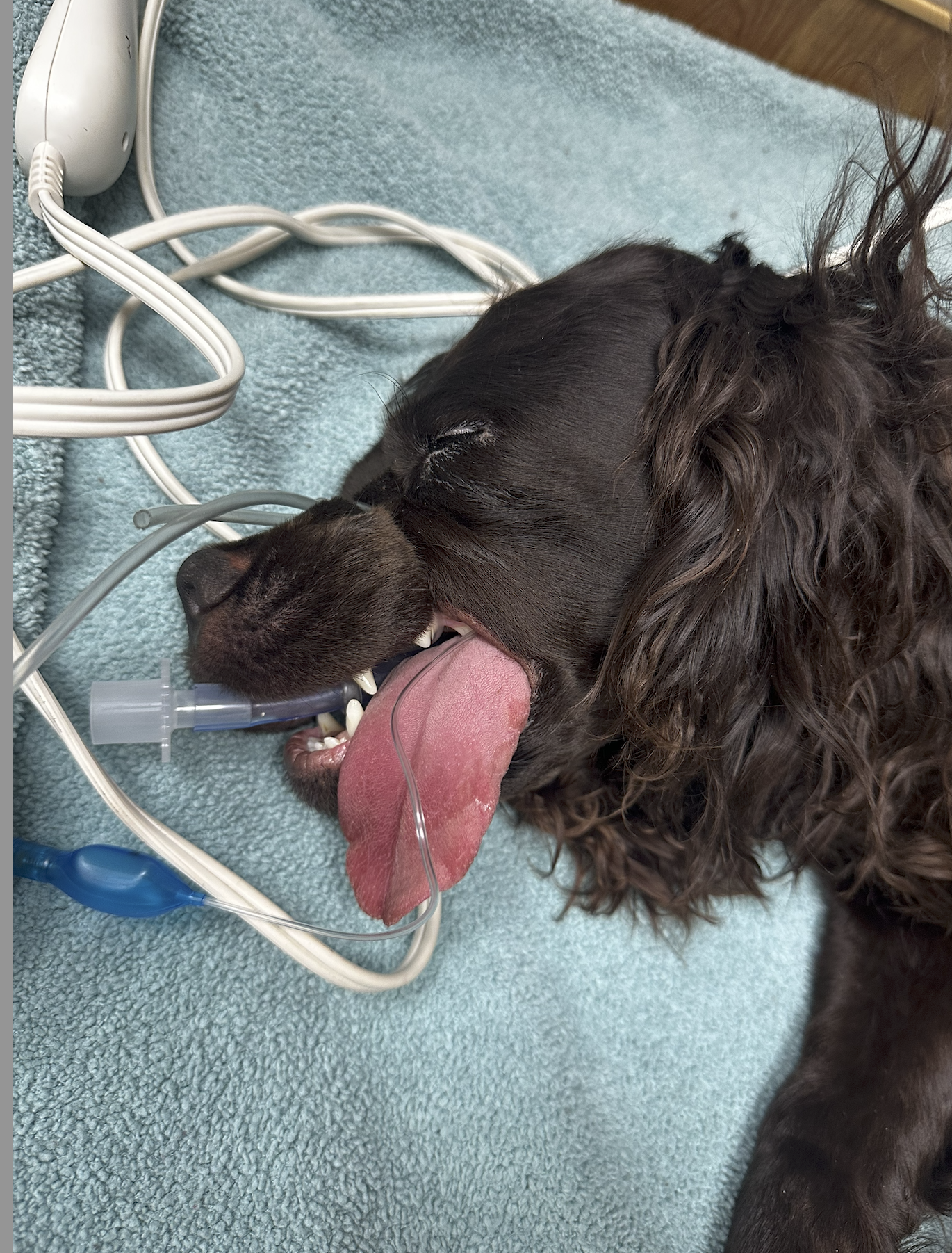 Screenshot 2026-03-08 at 10.53.09 AM.png