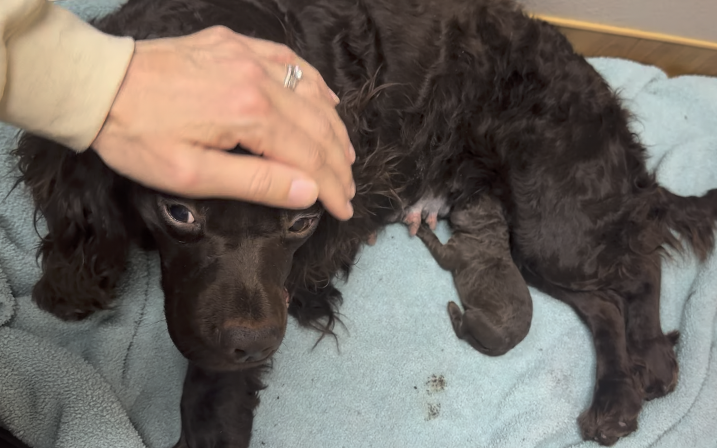 Screenshot 2026-03-08 at 11.21.07 AM.png