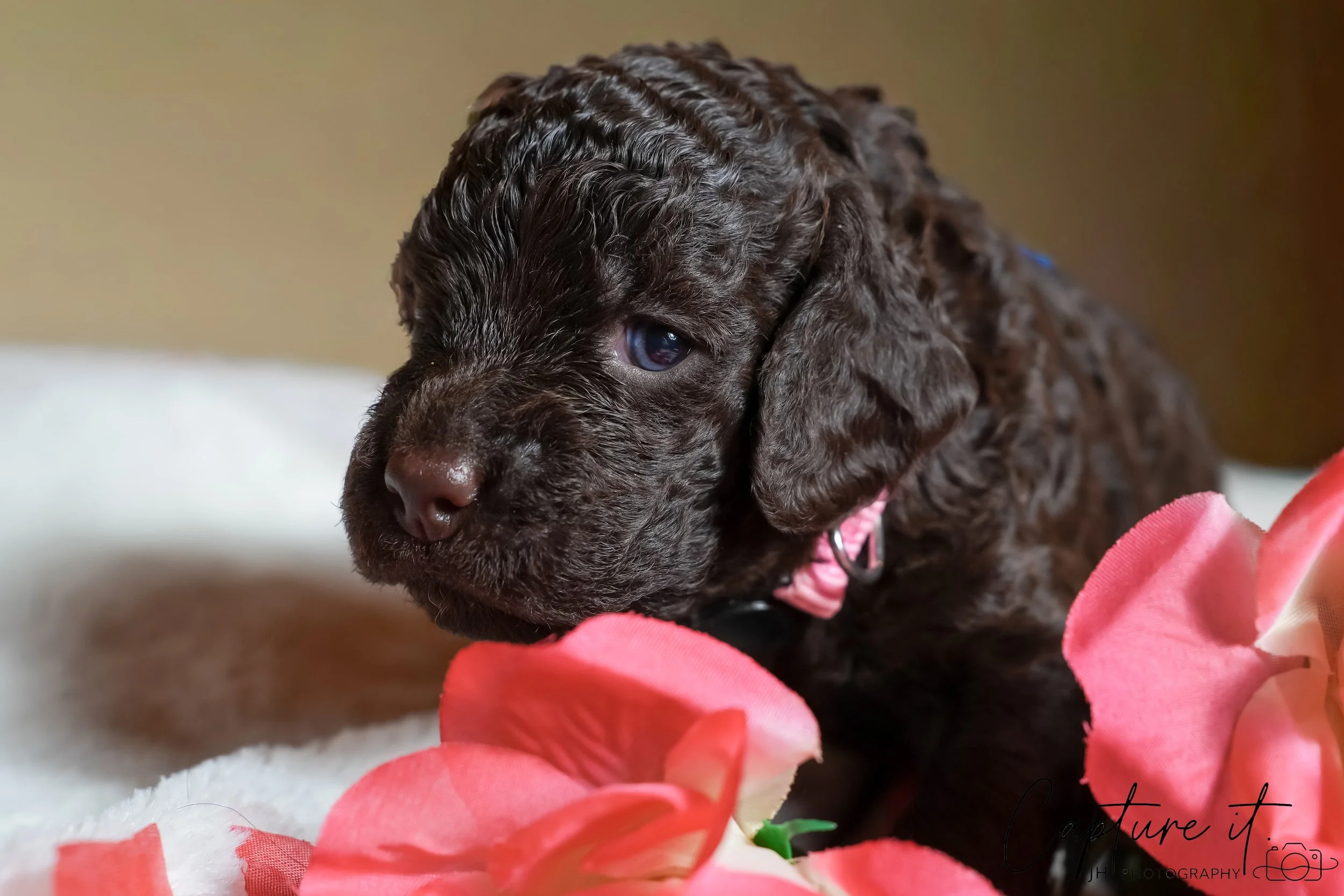 jsch0318zhchgvb -409-02.jpg