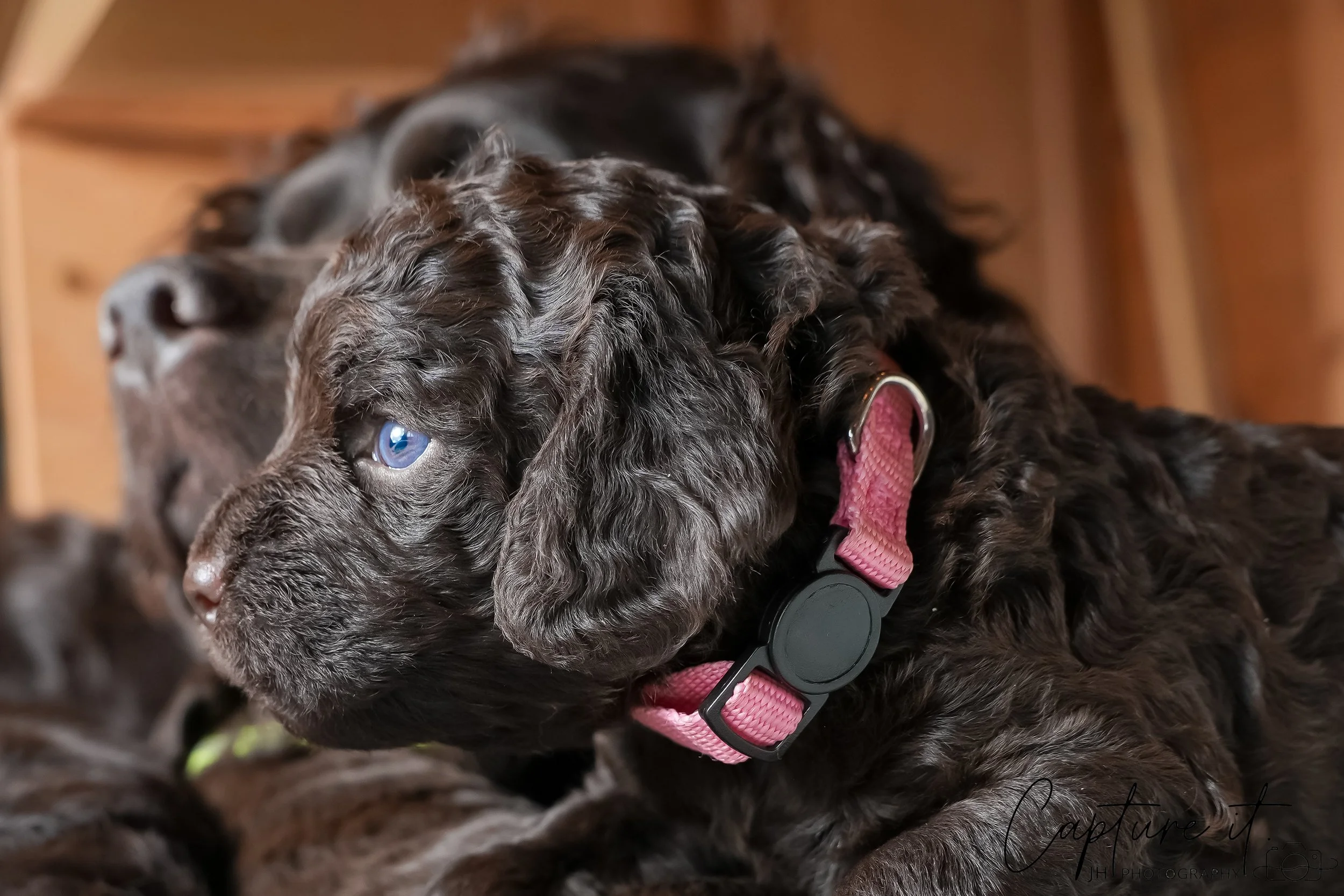 jsch0318zhchgvb -409-03-2.jpg