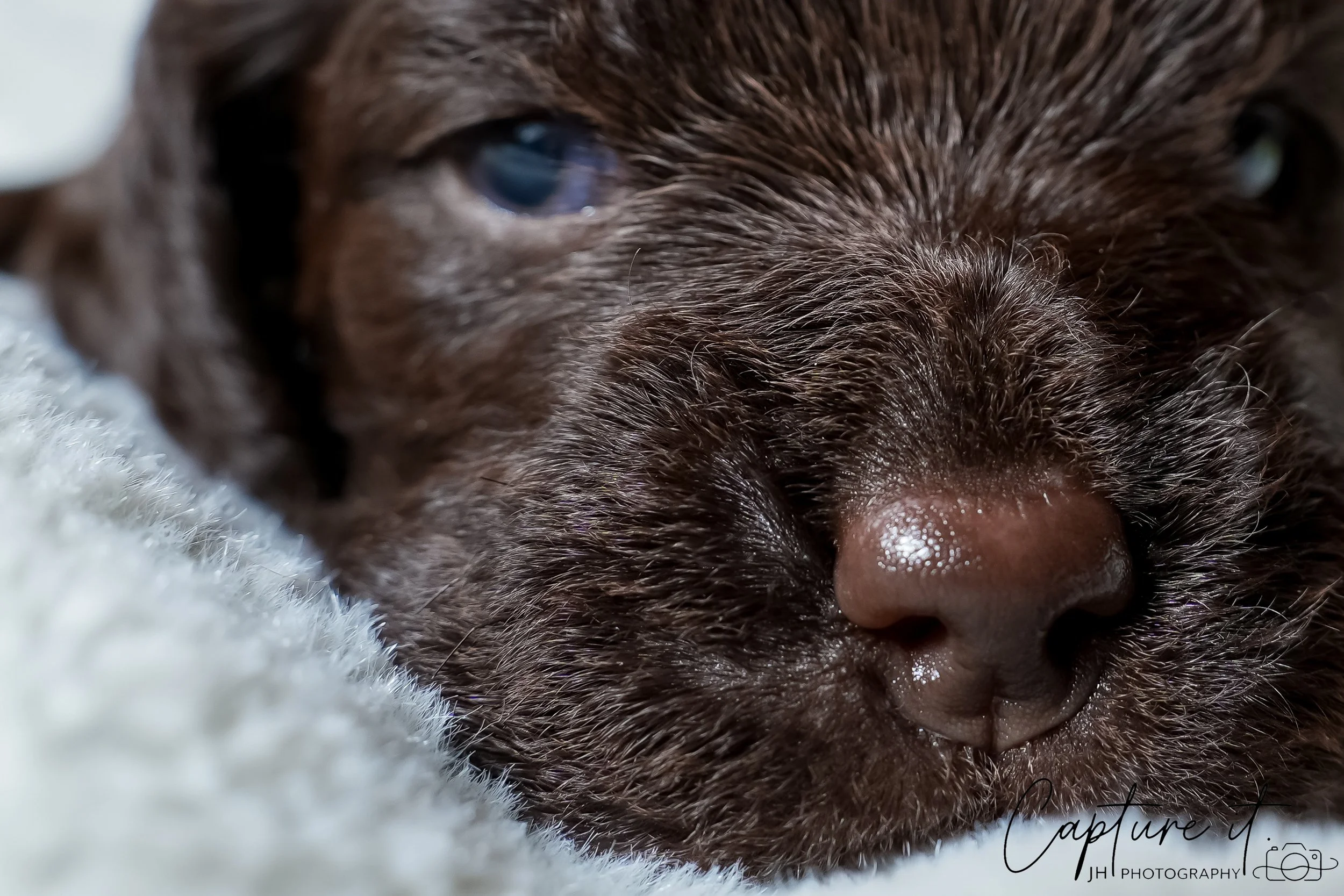 jsch0318zhchgvb -409-04.jpg