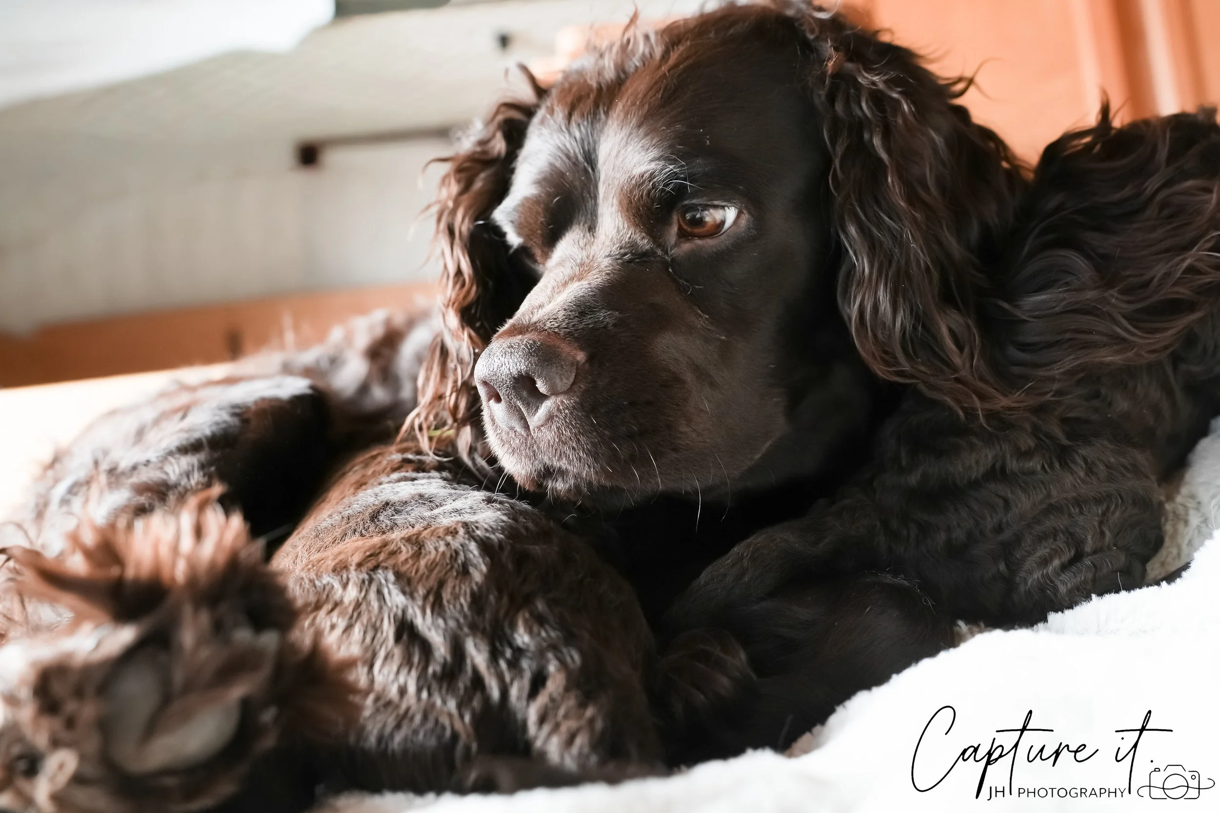 jsch0318zhchgvb -409-04-2.jpg