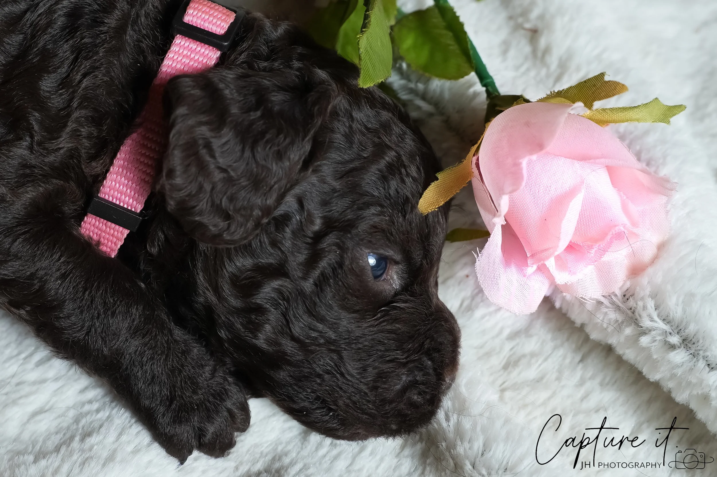 jsch0318zhchgvb -409-05 copy.jpg