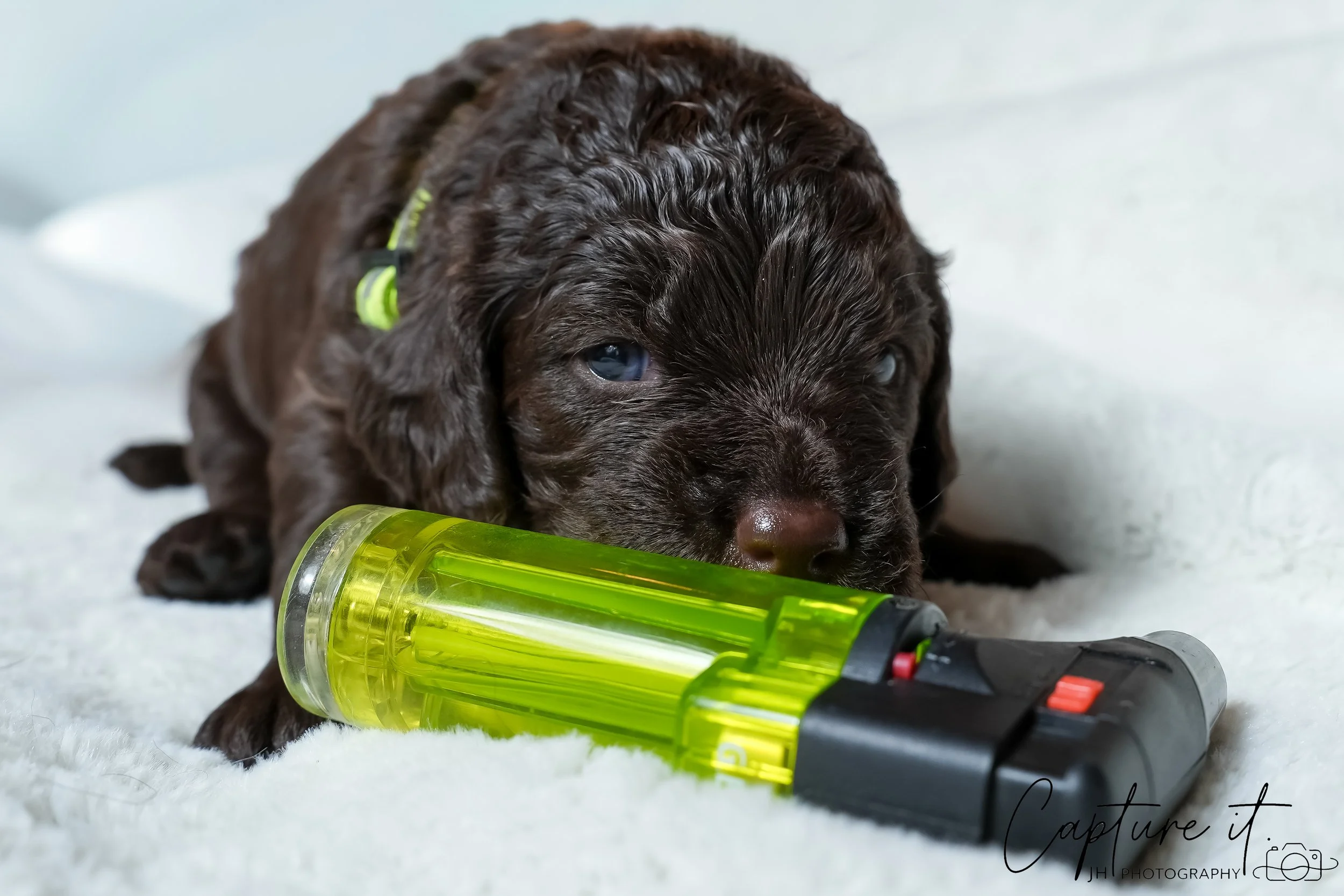 jsch0318zhchgvb -409-05.jpg