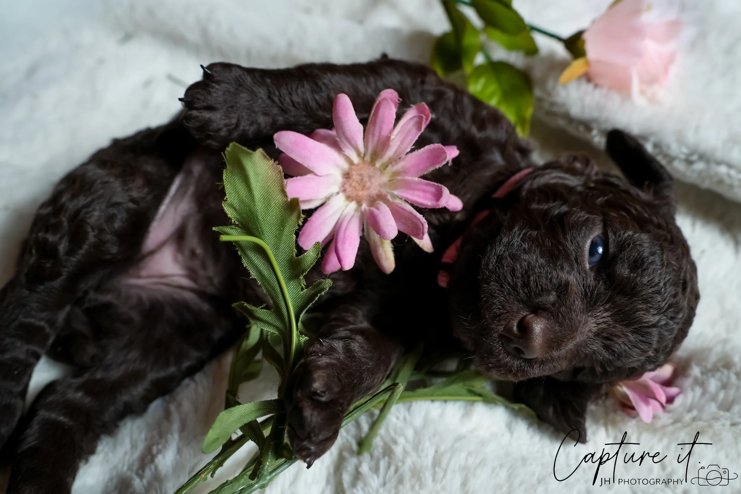 jsch0318zhchgvb -409-06 copy.jpg