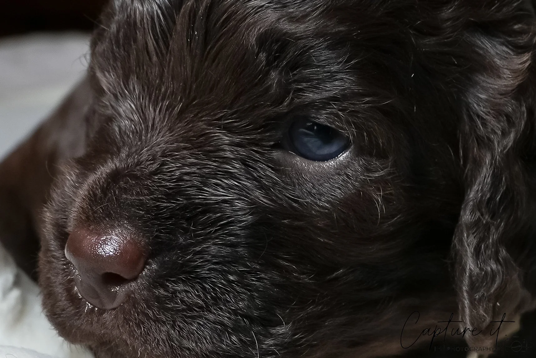 jsch0318zhchgvb -409-06.jpg