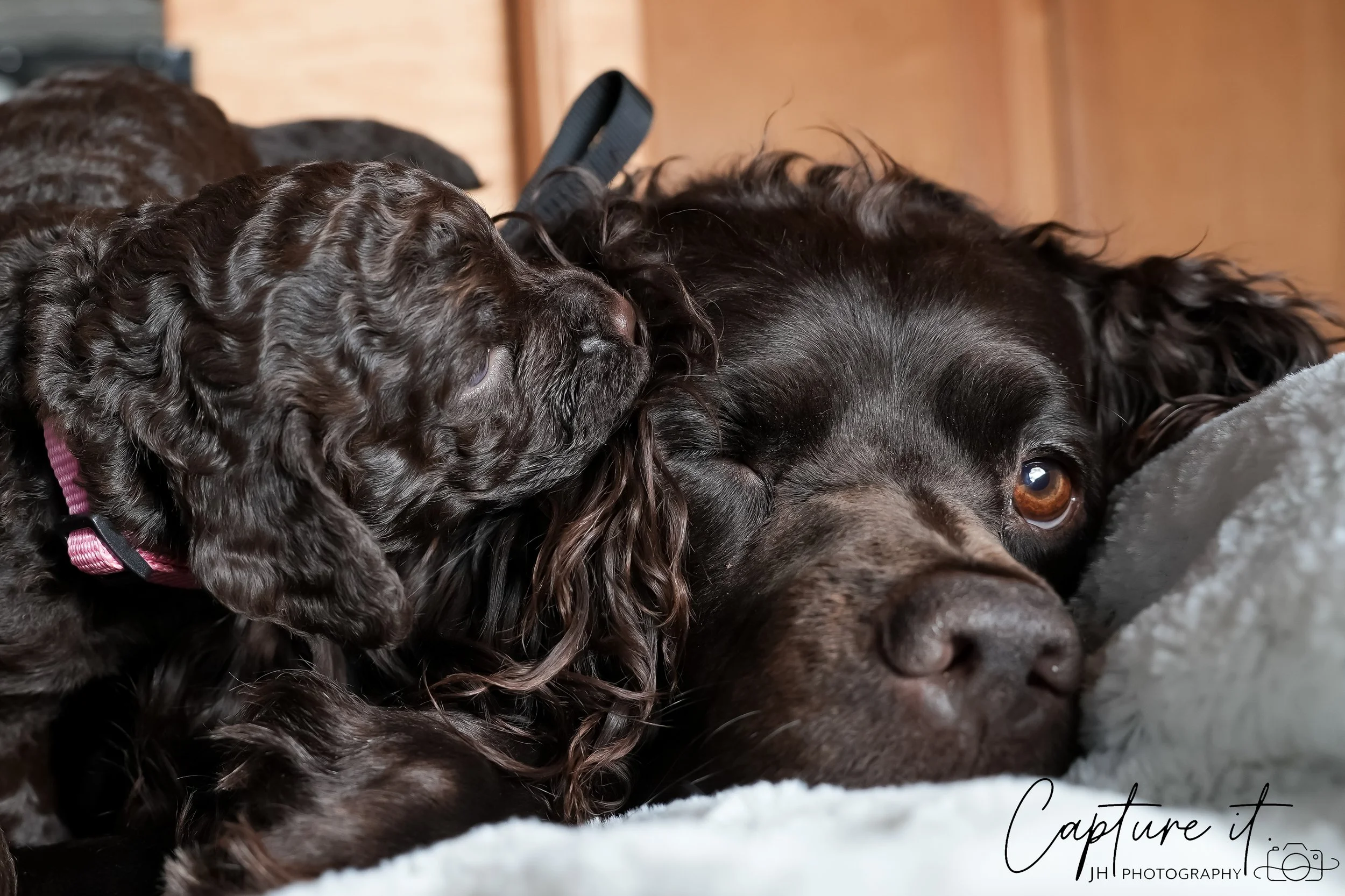 jsch0318zhchgvb -409-06-2.jpg