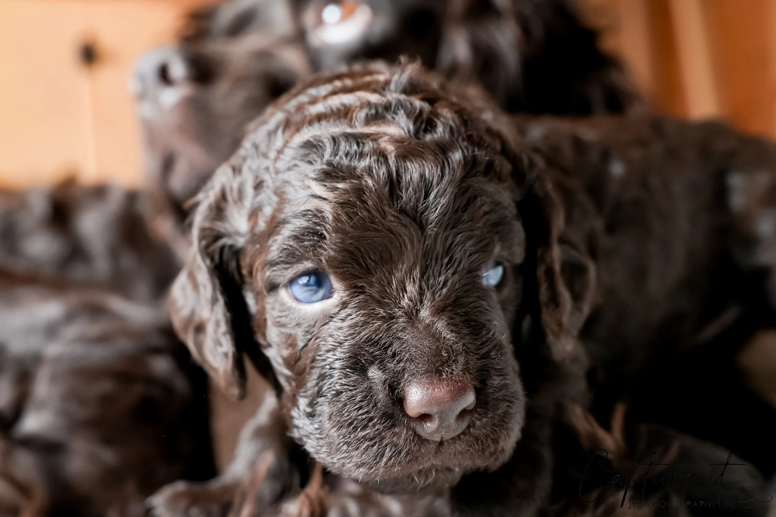 jsch0318zhchgvb -409-07.jpg