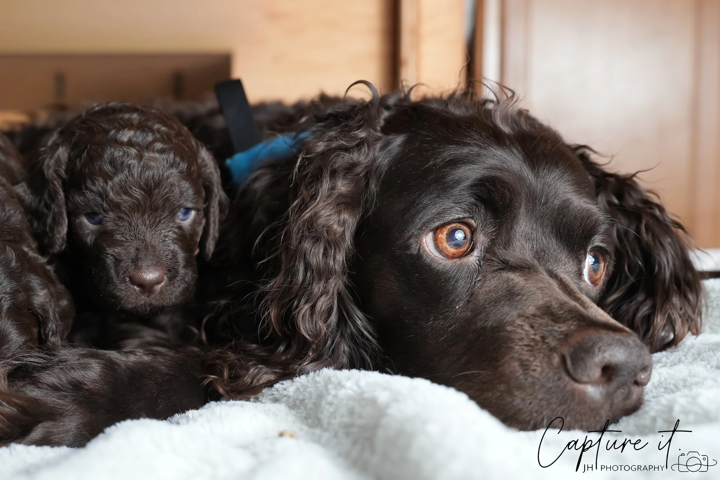 jsch0318zhchgvb -409-08.jpg