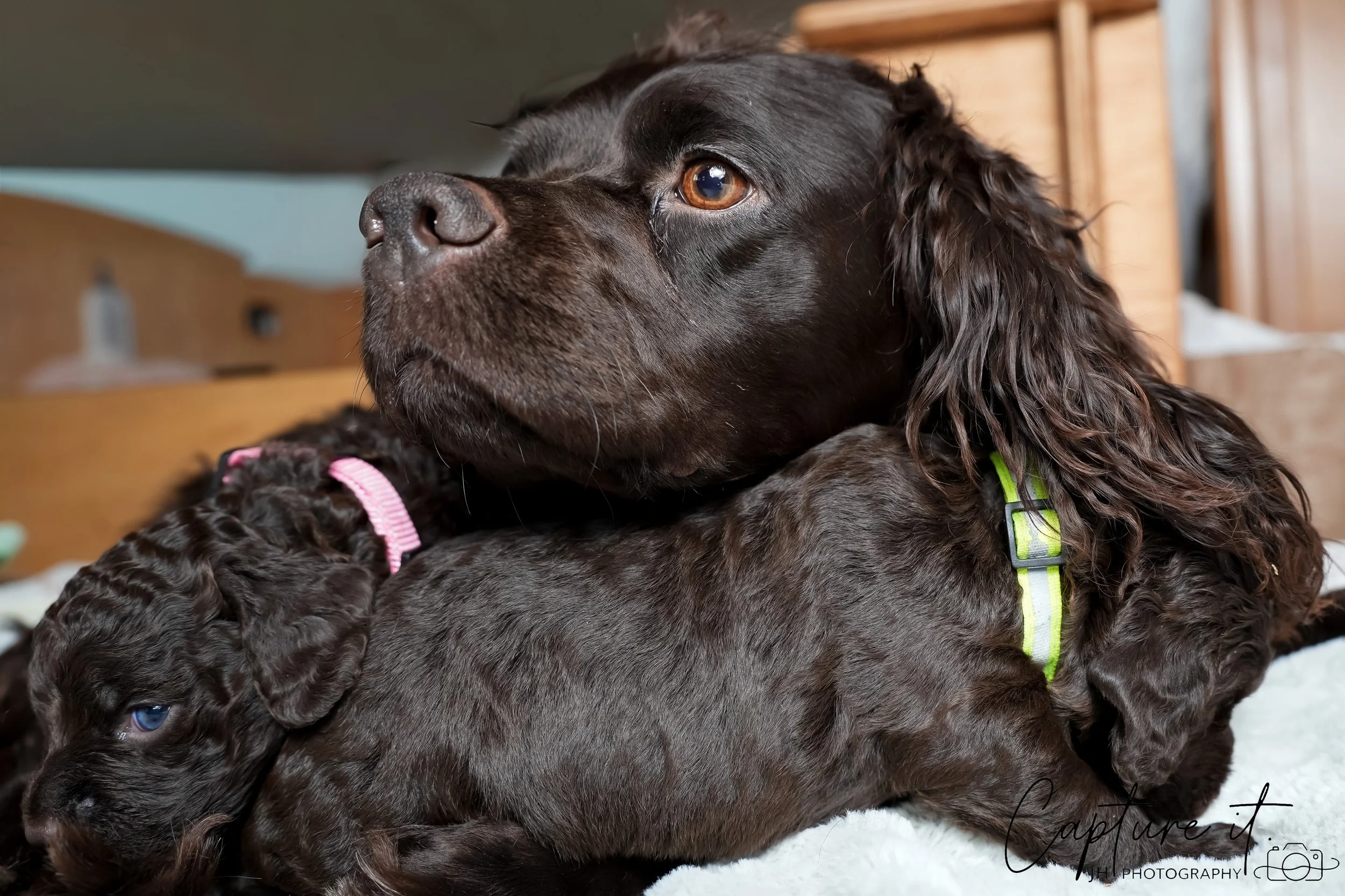 jsch0318zhchgvb -409-10.jpg