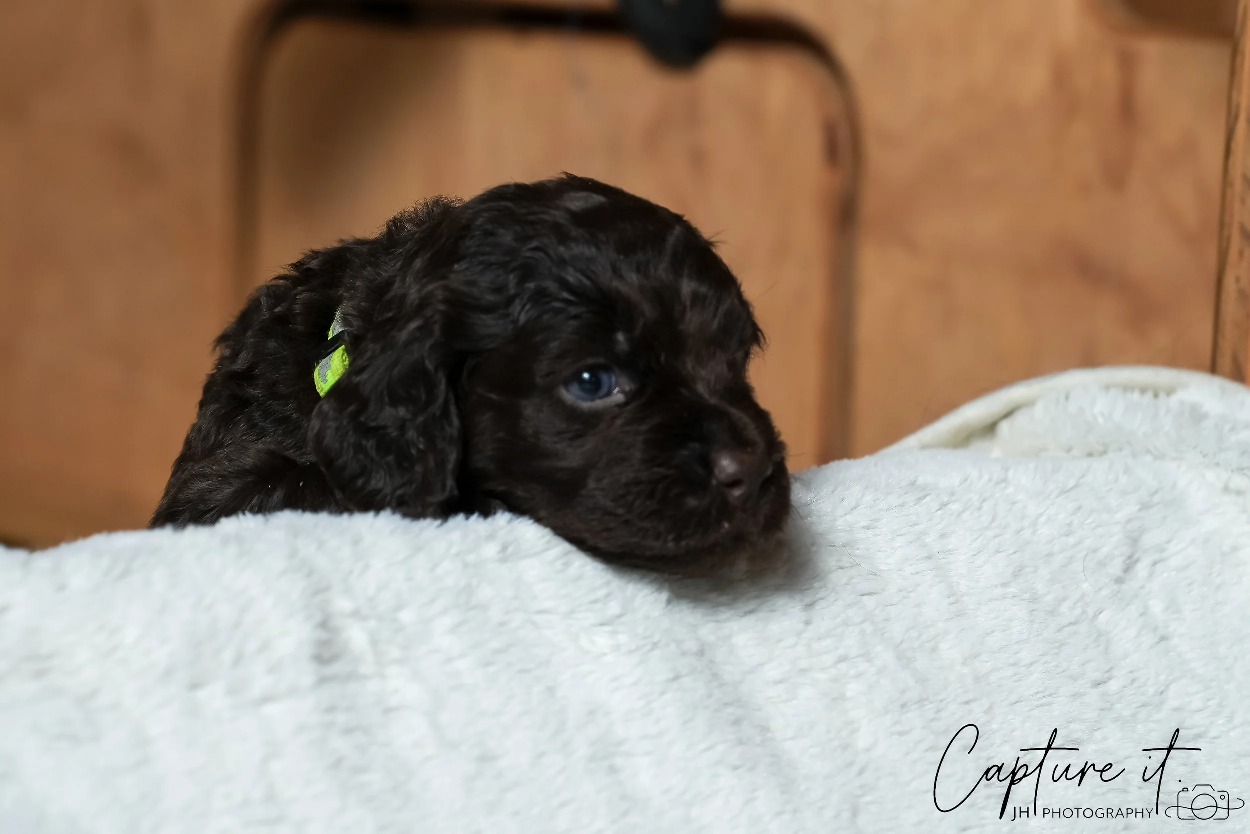 jsch0324czzjjvw - 412-03.jpg