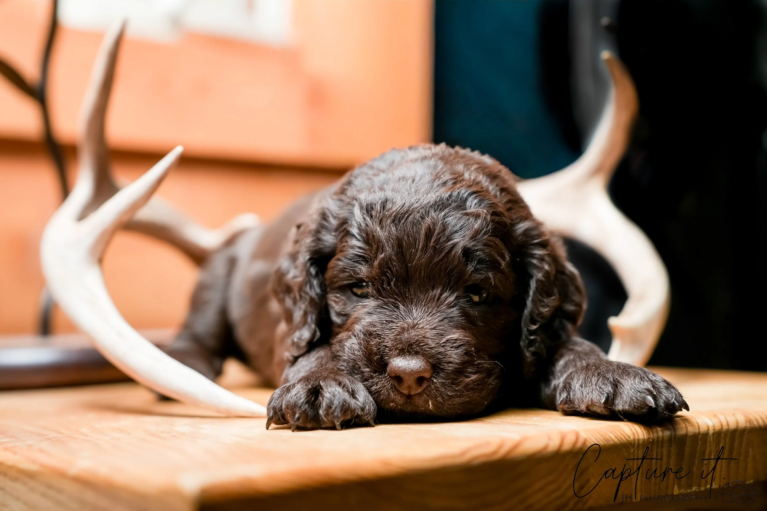 jsch0324czzjjvw - 412-02.jpg