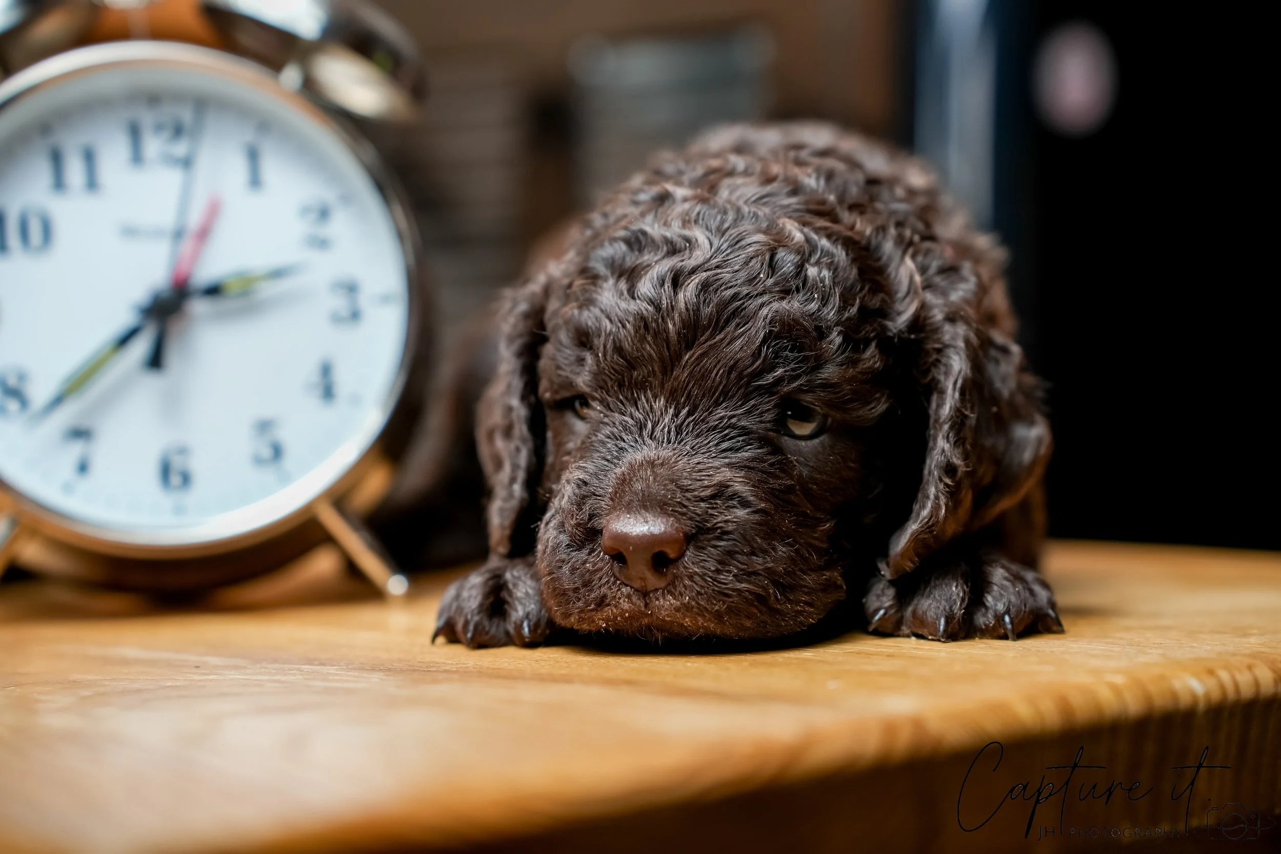 jsch0324czzjjvw - 412-04.jpg