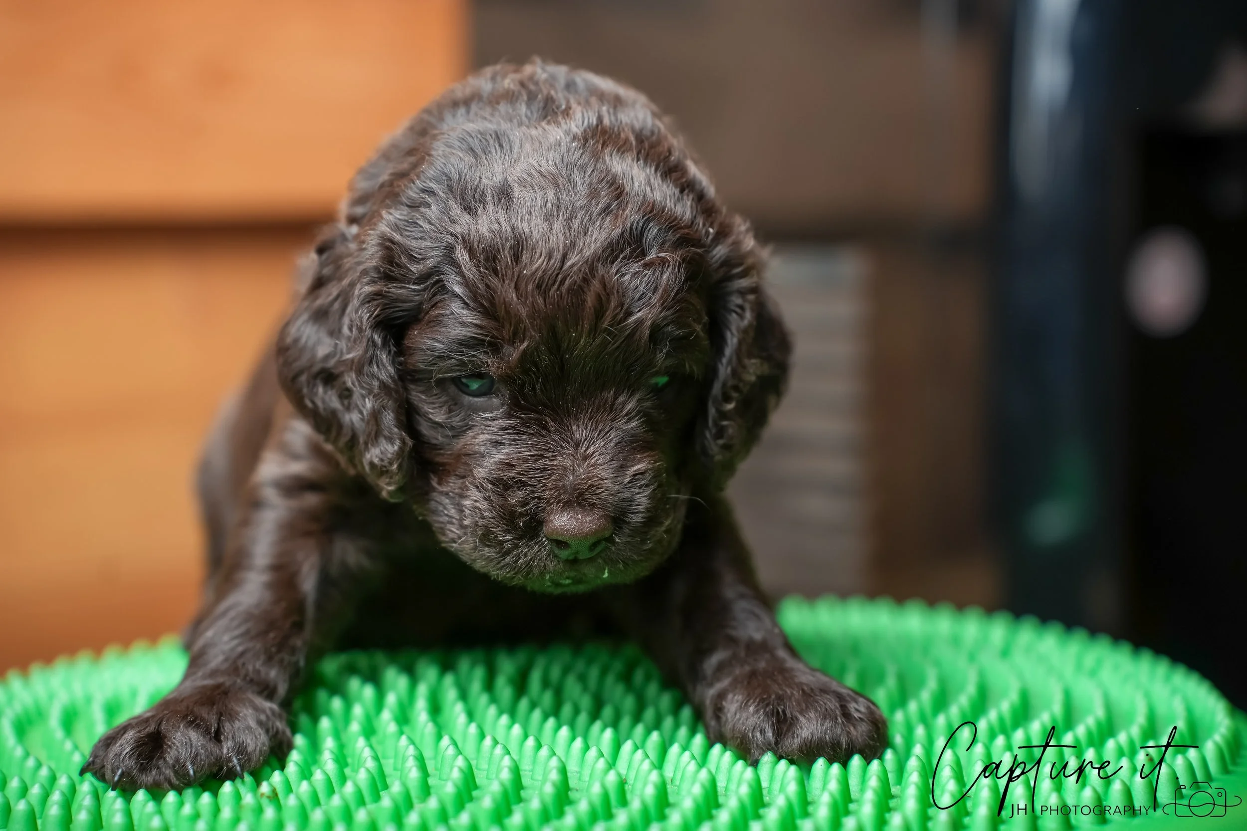 jsch0324czzjjvw - 412-06.jpg